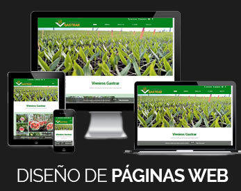 Diseño de páginas web